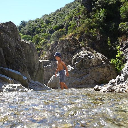 La Frigoule, Un Gite Au Coeur Du Parc Des Cevennes Generargues 외부 사진