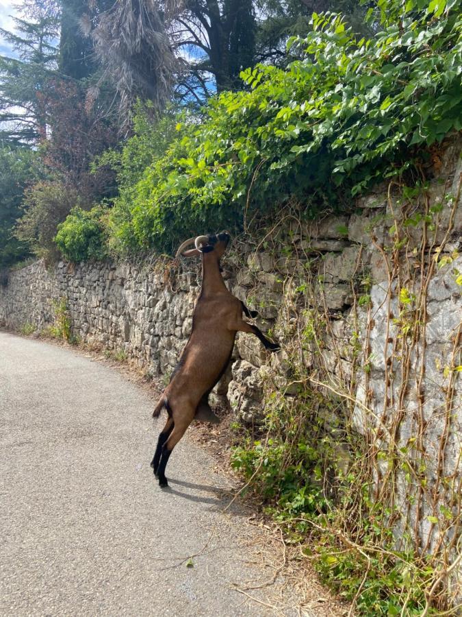 La Frigoule, Un Gite Au Coeur Du Parc Des Cevennes Generargues 외부 사진