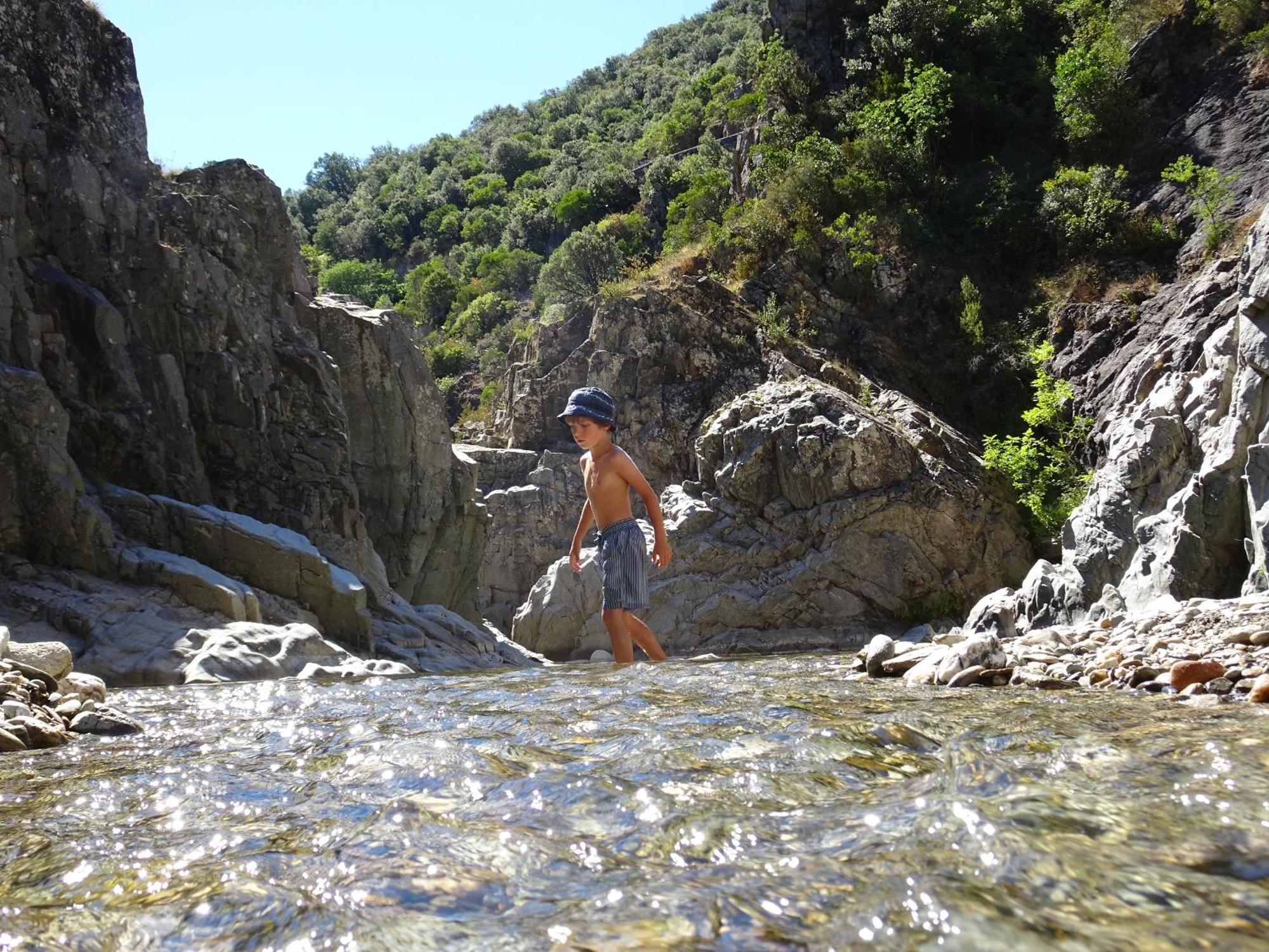 La Frigoule, Un Gite Au Coeur Du Parc Des Cevennes Generargues 외부 사진